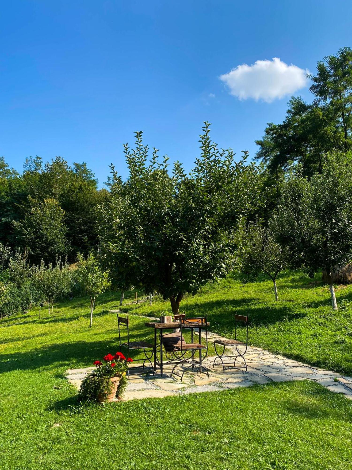 Cabana La Domnu' De Pe Vale Villa Nagyenyed Kültér fotó